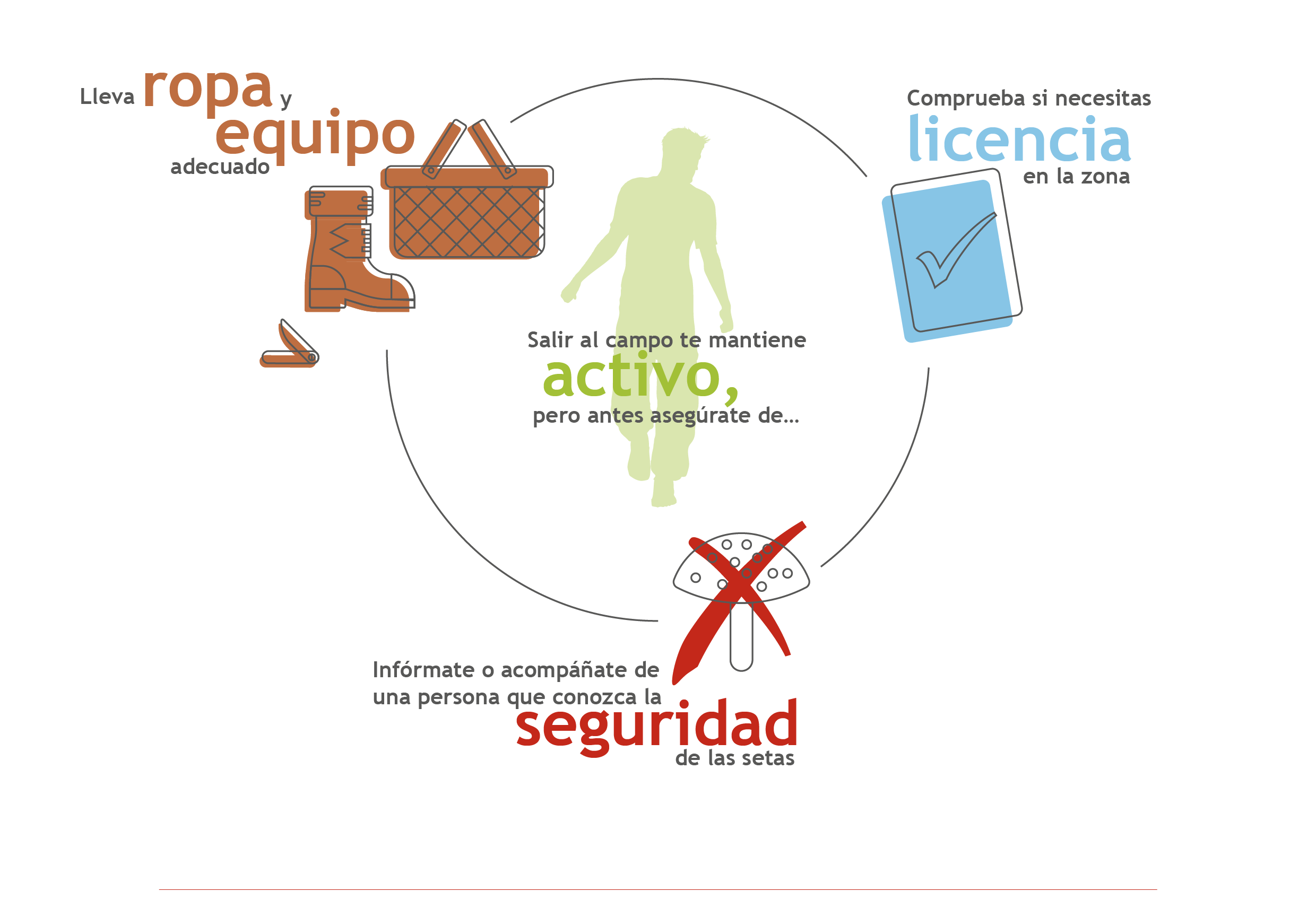 recomendaciones para coger setas